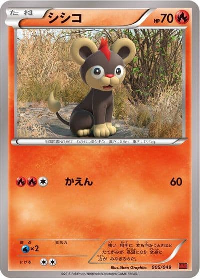 Litleo M Master Deck Build Box Power Style Pokemon card