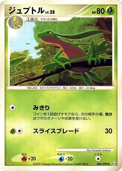 Grovyle Pt4: Advent of Arceus Pokemon card