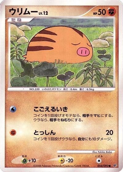 Swinub Intense Fight in the Destroyed Sky Pokemon card