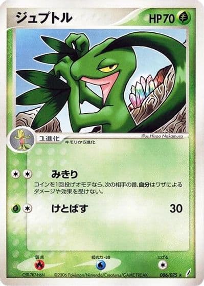 Grovyle Miracle Crystal Pokemon card
