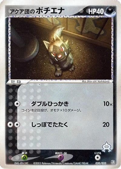 Team Aqua's Poochyena Aqua Deck Kit Pokemon card
