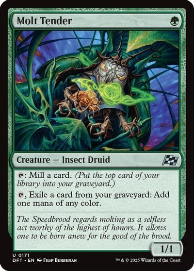 Molt Tender Aetherdrift Magic card