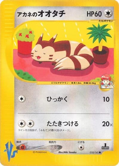 Whitney's Furret Pokemon VS Pokemon card