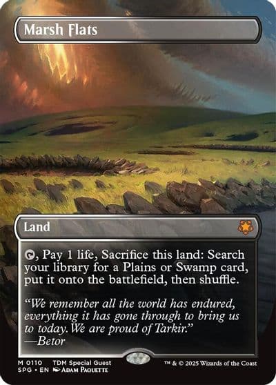 Marsh Flats Borderless Special Guests Magic card
