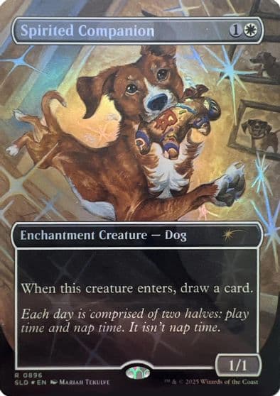 Spirited Companion 0896 Rainbow Foil Secret Lair Drop Series Magic card