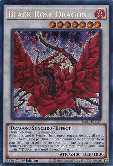 Black Rose Dragon Secret Rare Quarter Century Stampede Yu-Gi-Oh! card