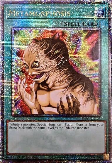 Metamorphosis Quarter Century Secret Rare Quarter Century Stampede Yu-Gi-Oh! card