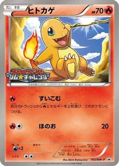 Charmander BW-P Promotional cards Pokemon card