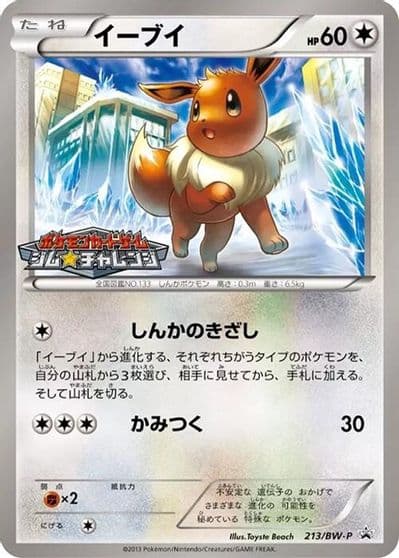 Eevee BW-P Promotional cards Pokemon card