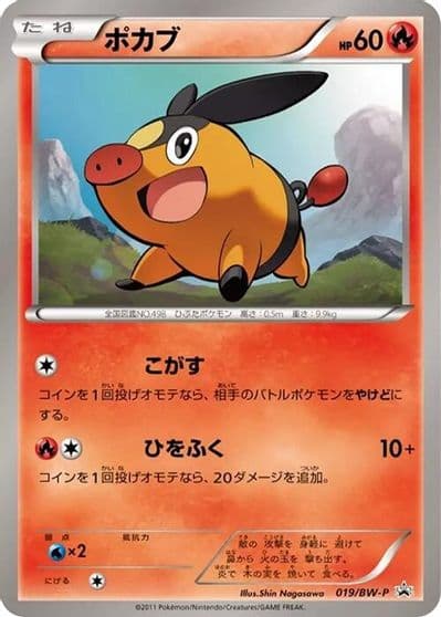 Tepig BW-P Promotional cards Pokemon card