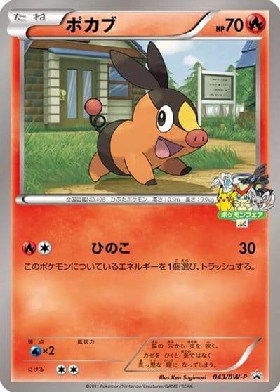 Tepig BW-P Promotional cards Pokemon card