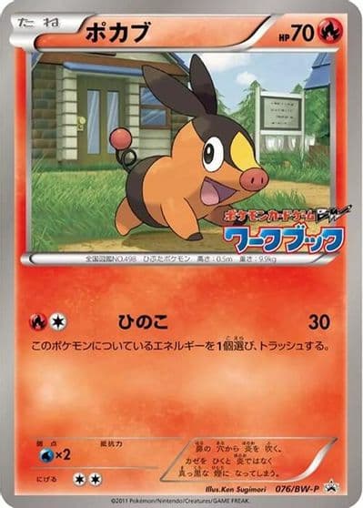 Tepig BW-P Promotional cards Pokemon card