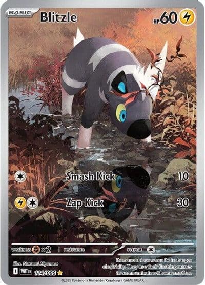 Blitzle SV: White Flare Pokemon card