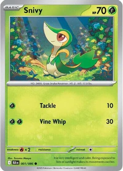 Snivy SV: Black Bolt Pokemon card