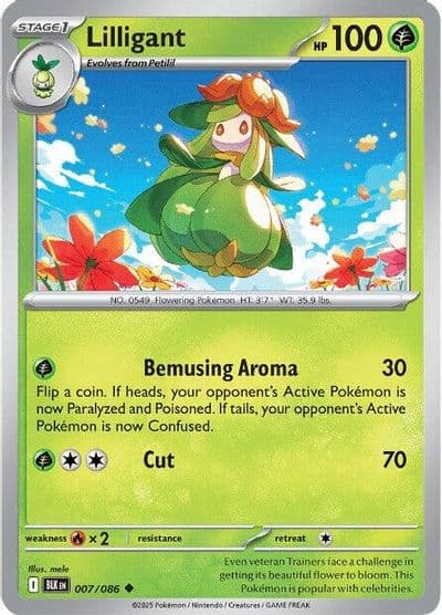 Lilligant SV: Black Bolt Pokemon card