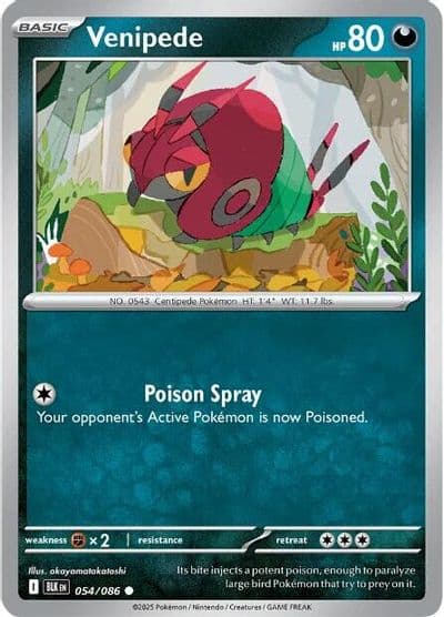 Venipede SV: Black Bolt Pokemon card