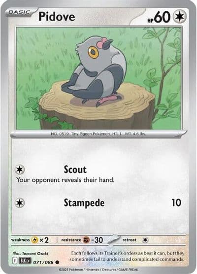 Pidove SV: Black Bolt Pokemon card