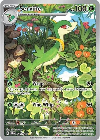 Servine SV: Black Bolt Pokemon card
