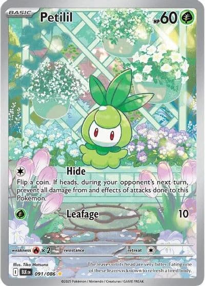 Petilil SV: Black Bolt Pokemon card