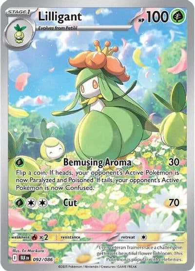 Lilligant SV: Black Bolt Pokemon card