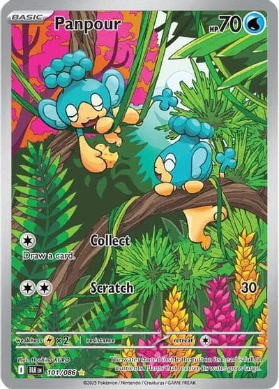 Panpour SV: Black Bolt Pokemon card