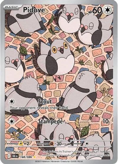Pidove SV: Black Bolt Pokemon card