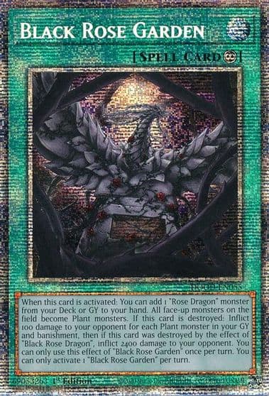 Black Rose Garden Starlight Rare Doom of Dimensions Yu-Gi-Oh! card