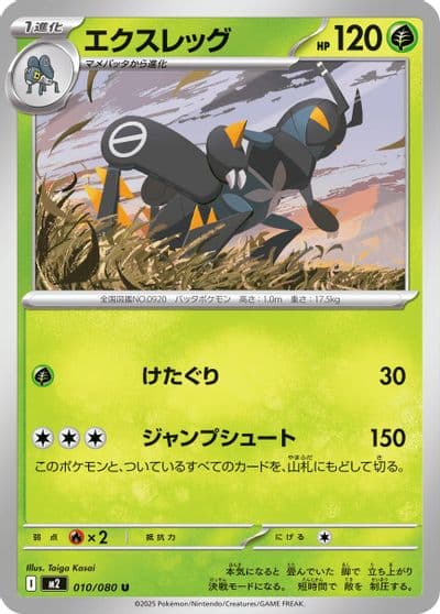 Lokix M2: Inferno X Pokemon card