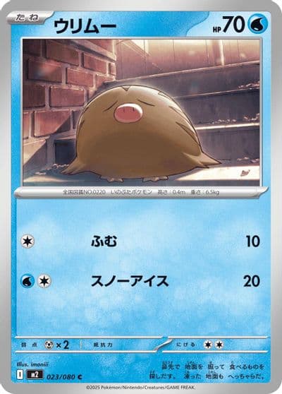 Swinub M2: Inferno X Pokemon card