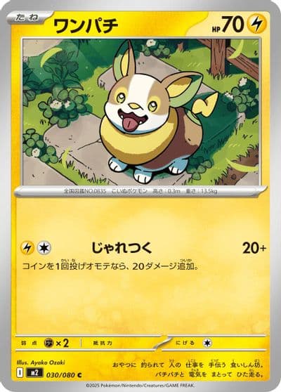 Yamper M2: Inferno X Pokemon card