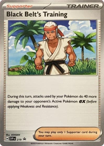 Black Belt's Training - 219 SV: Scarlet & Violet Promo Cards Pokemon card