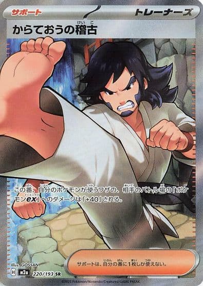Black Belt's Training (143/175) SVM: Generations Start Decks Pokemon card