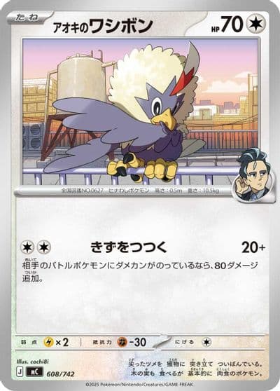 Larry's Rufflet Start Deck 100 Battle Collection Pokemon card