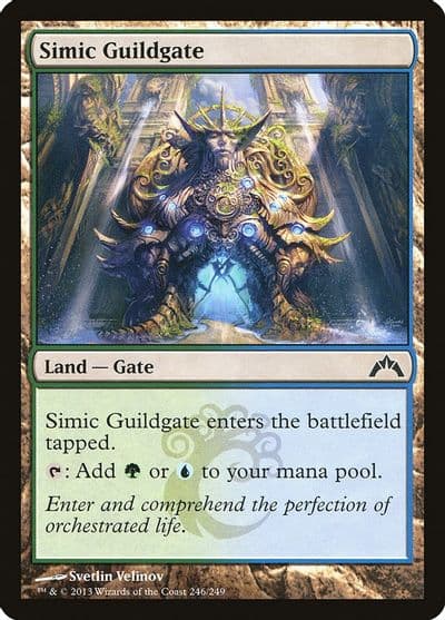 Simic Guildgate Gatecrash Magic card