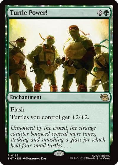 Turtle Power Teenage Mutant Ninja Turtles Magic card