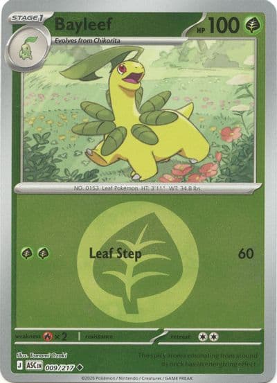 Bayleef (Energy Symbol Pattern) ME: Ascended Heroes Pokemon card