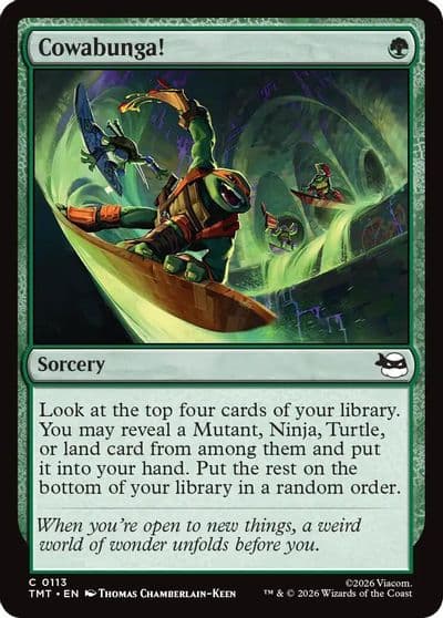 Cowabunga Teenage Mutant Ninja Turtles Magic card