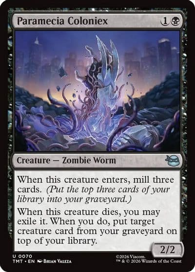 Paramecia Coloniex Teenage Mutant Ninja Turtles Magic card