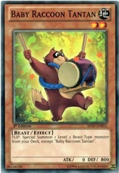 Baby Raccoon Tantan Shadow Specters Yu-Gi-Oh! card
