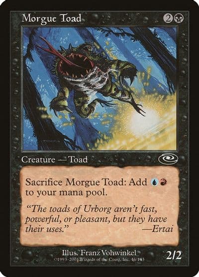 Morgue Toad Planeshift Magic card