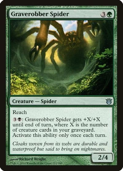 Graverobber Spider Born of the Gods Magic card