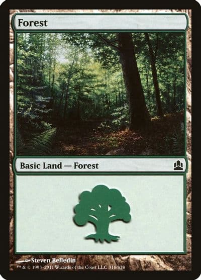 Forest 316 Commander Magic card