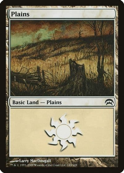 Plains 143 Planechase Magic card