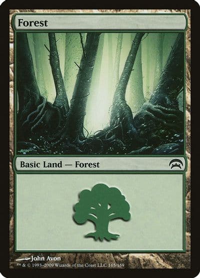 Forest 165 Planechase Magic card