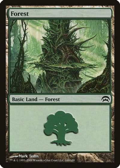 Forest 169 Planechase Magic card