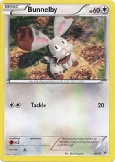 Bunnelby Kalos Starter Set Pokemon card