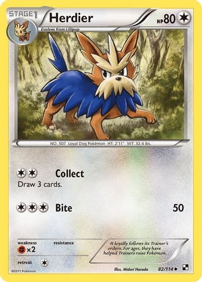 Herdier Black and White Pokemon card