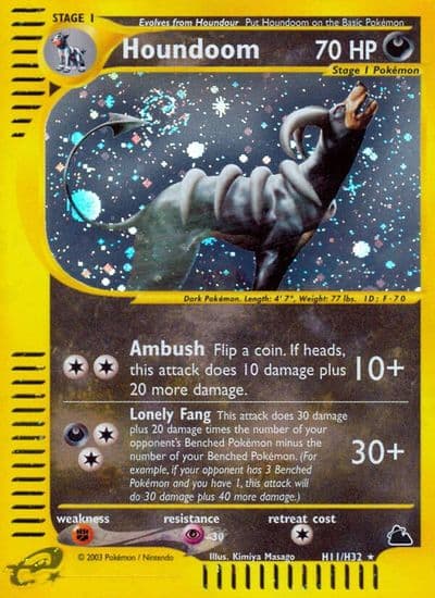 Houndoom (H11) Skyridge Pokemon card