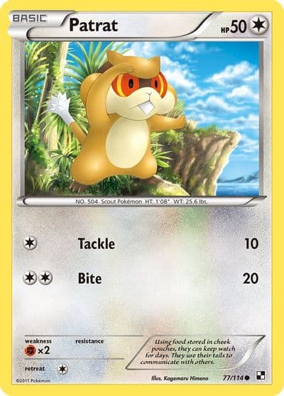 Patrat (77) Black and White Pokemon card