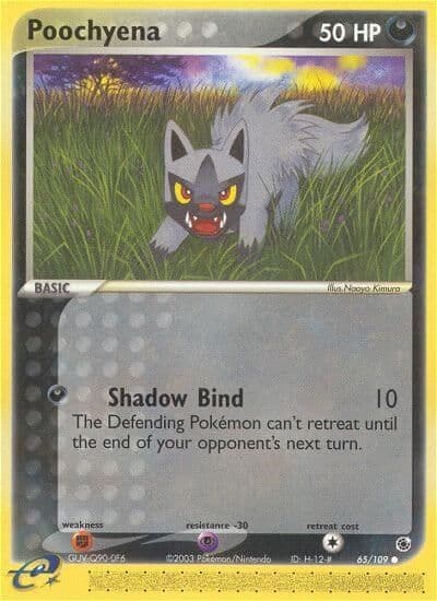 Poochyena Ruby and Sapphire Pokemon card